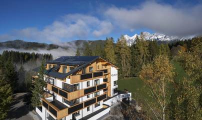 Vakantiewoning voor 6 Personen in Ramsau am Dachstein, Ski Amadé, Afbeelding 2