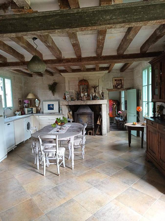 Maison de campagne pour 7 personnes, animaux acceptés à Rigny-Ussé - 2