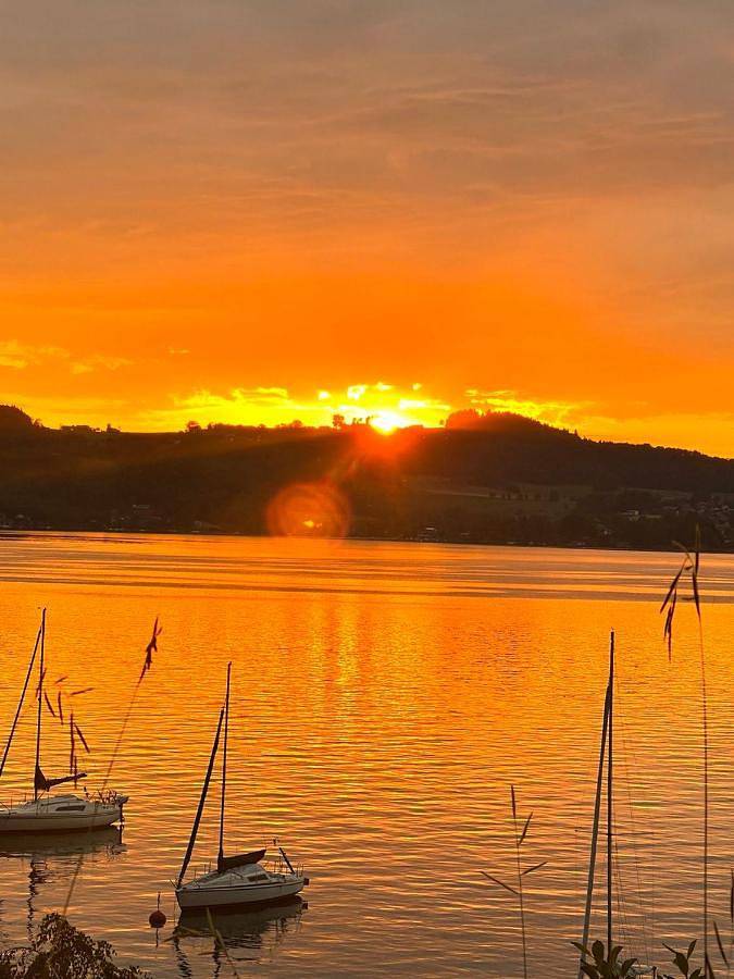 Exklusiver Seetraum am Attersee direkt am See in Weyregg am Attersee, Bezirk Vöcklabruck