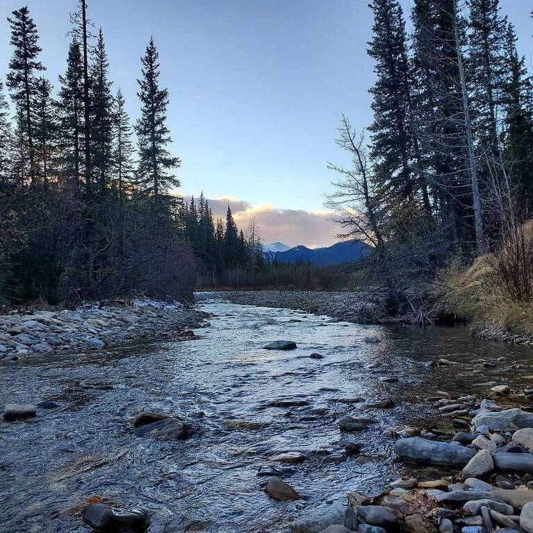 Off-Grid Escape, Log Cabin, Secluded Deep in the Wild near Rock Lake! in Kanadische Rocky Mountains