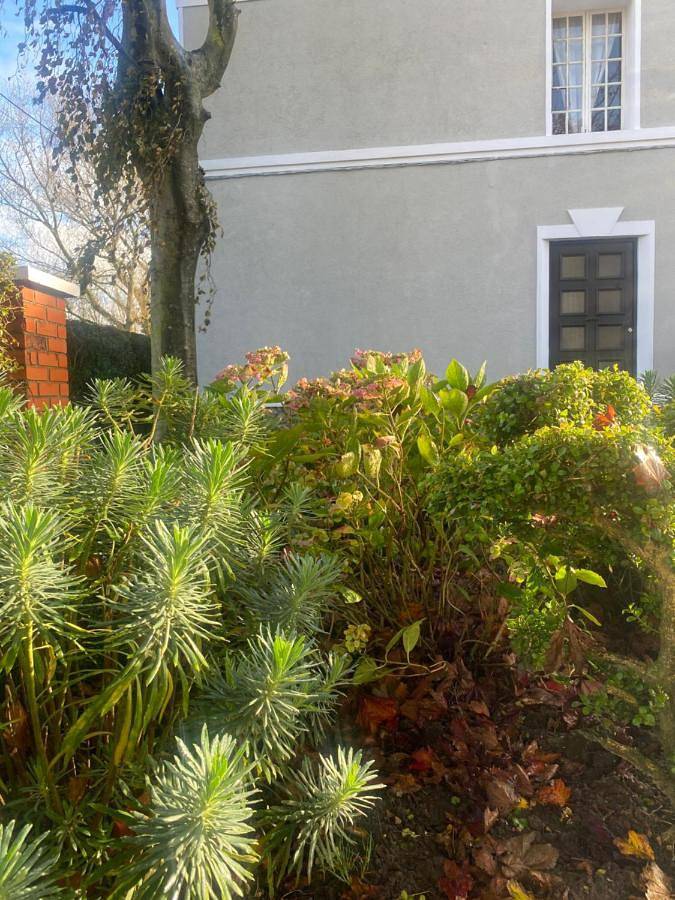 Location de vacances pour 3 personnes, avec terrasse et jardin, animaux acceptés à Peuplingues - 3