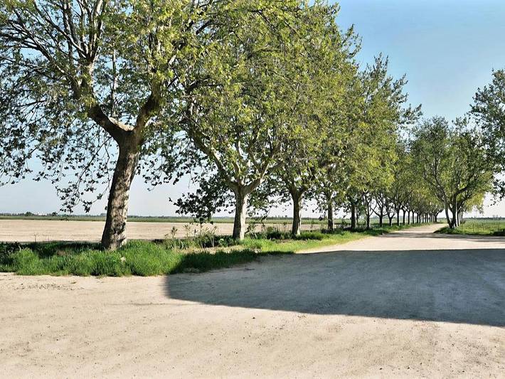 Apartamento de vacaciones para 4 personas, con jardín y vistas, Se admiten mascotas - 1