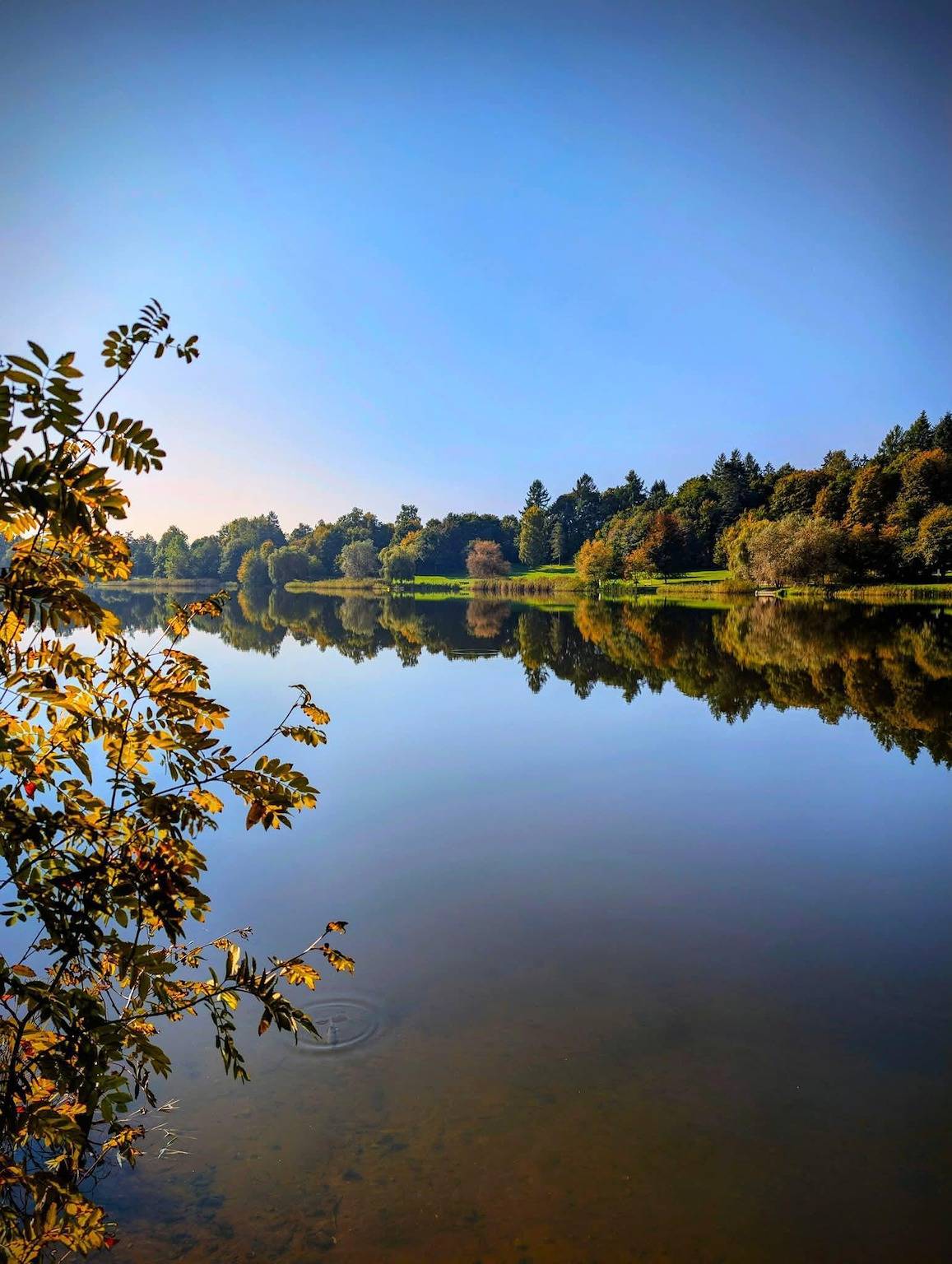 Ferienhaus am See in Losheim am See, Saar-Nahe-Bergland
