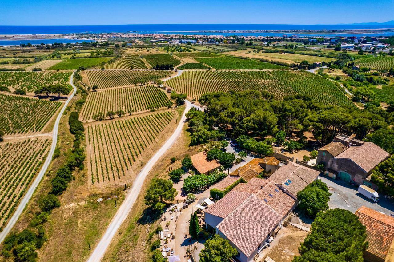 Château le Bouïs Hotel & Wine in Gruissan (Ville), Gruissan