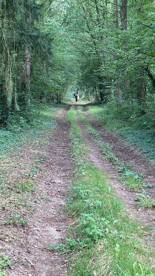 Location de vacances pour 6 personnes, avec vue et terrasse à Bazouges-la-Pérouse - 2