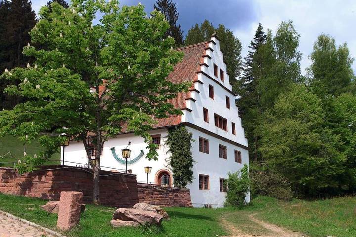 Ferienhaus für 11 Personen, mit Balkon/Terrasse und Terrasse in Freudenstadt