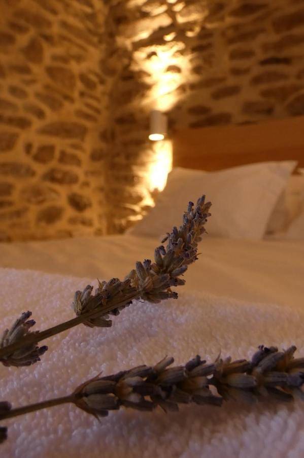 Casa da Laja - Casas de Villar- Rural Experience in Beira Interior Norte, Douro Internacional