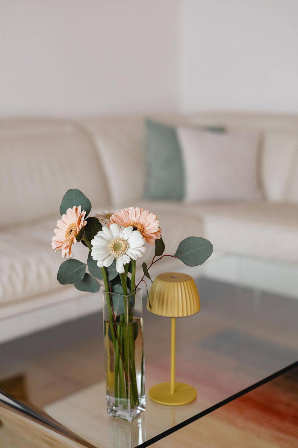 Ganze Wohnung, ⭐⭐⭐⭐ Abc- Ferienwohnung in Meersburg am Bodensee - Wohnung D in Meersburg, Region Bodensee-Oberschwaben