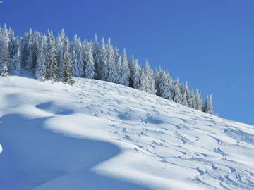 Ferienhaus für 14 Personen in Hinterglemm, Kitzbüheler Alpen, Bild 4