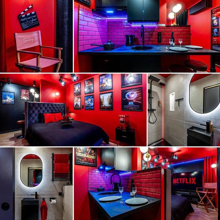 Location de vacances pour 2 personnes, animaux acceptés à Drusenheim - 2