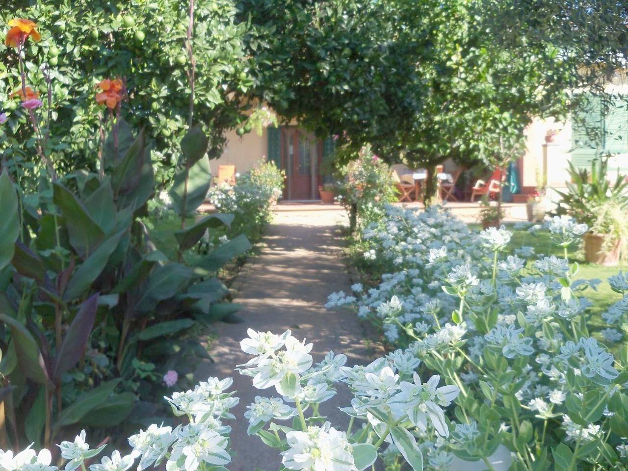Double Room with Balcony in Anguillara Sabazia, Lago di Bracciano