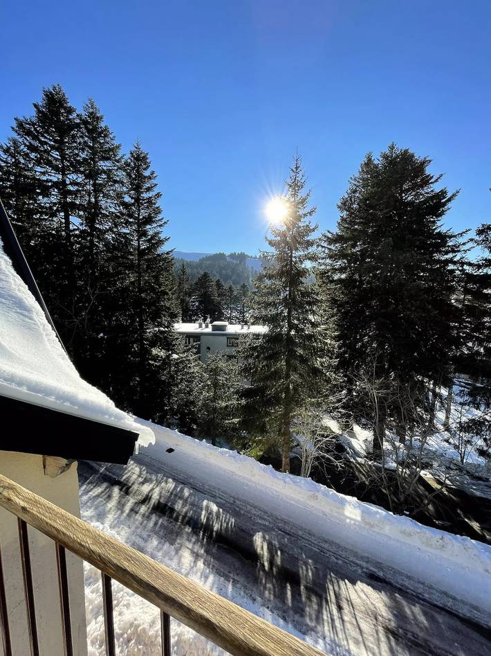 Appartement entier, Appartement au Rocher du cerf à deux pas du centre in Le Lioran, Laveissière