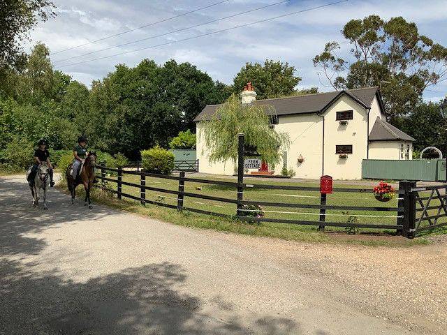 The Willows in Dorset