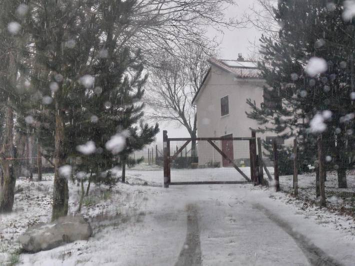 B&b per 3 persone, con giardino e panorama, con animali domestici a Morano Calabro