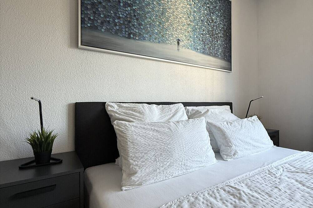 Ganze Wohnung, Stilvolles Studio Apartment bei der Messe Olma in St. Gallen, Zürich Voralpen