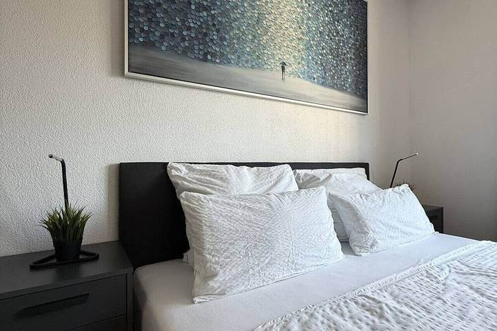 Ganze Wohnung, Stilvolles Studio Apartment bei der Messe Olma in St. Gallen, Zürich Voralpen