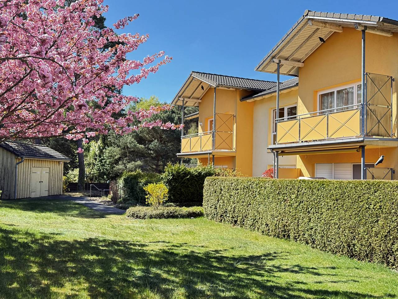 Ganze Wohnung, Ferienwohnung "Melosine" mit Balkon in Koserow, Bernsteinbäder