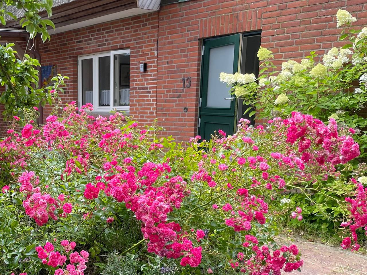 Ganzes Studio, Einzimmerapartment 'Lüttdeel' mit privater Terrasse, privatem Garten und Wlan in Gelting, Schleswig-Flensburg