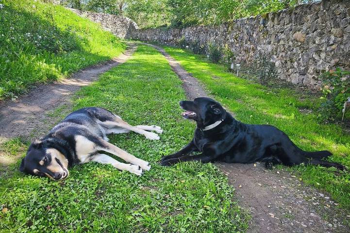Château pour 2 personnes