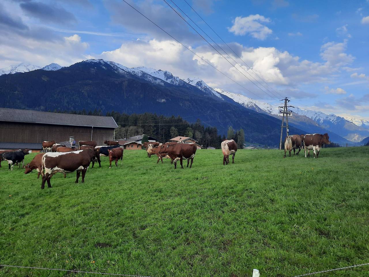 Lahnhof in Hollersbach im Pinzgau, Kitzbüheler Alpen