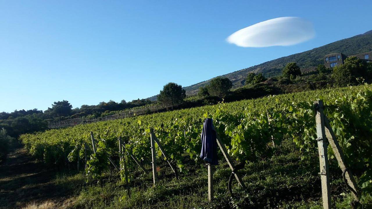 Suite in vigneto in Etna
