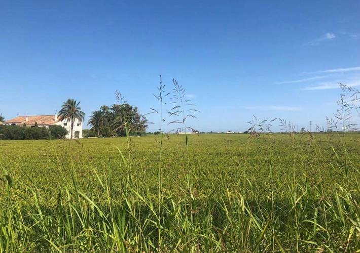 Location de vacances pour 4 personnes, avec jardin et terrasse dans Els Muntells - 2