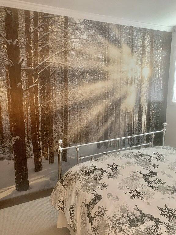 Vacation rental for 16 people, with hot tub and terrace in Big White