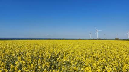 Ferienwohnung für 2 Personen, mit Garten und Terrasse, mit Haustier in Presen