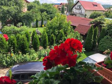 Gîte pour 3 personnes, avec vue ainsi que jardin et balcon dans Câmpina