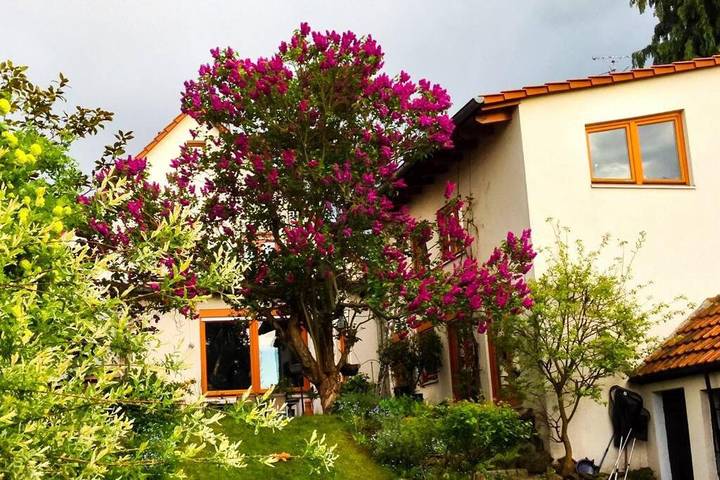 Ferienhaus für 10 Personen, mit Terrasse und Garten in Rödermark