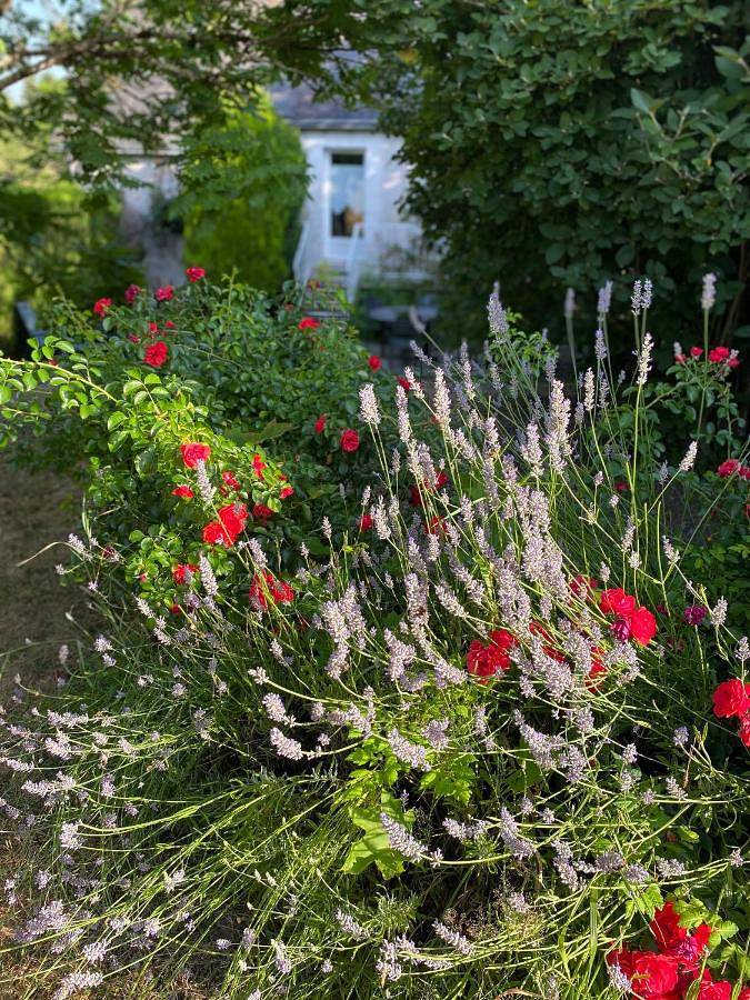 Chambre d’hôte pour 4 personnes, avec vue et jardin à Civray-de-Touraine - 3