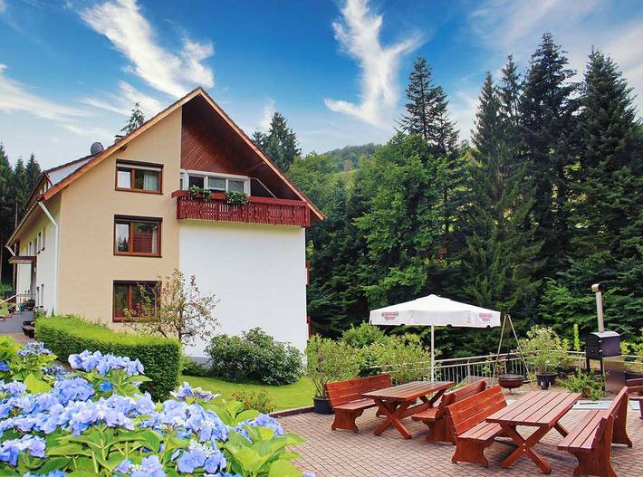Apartamento entero, Hoferpeterhof: Apartamento '1 Habitación' con vistas a la montaña, terraza y Wi-Fi in Bad Peterstal-Griesbach, Selva Negra Central