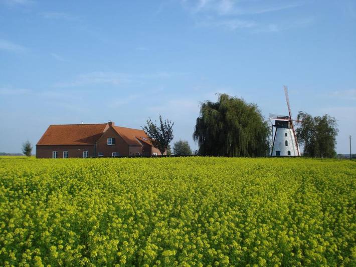 Location de vacances pour 6 personnes, avec Terrasse ainsi que Jardin et Vue dans Beveren (Flandre-Orientale)