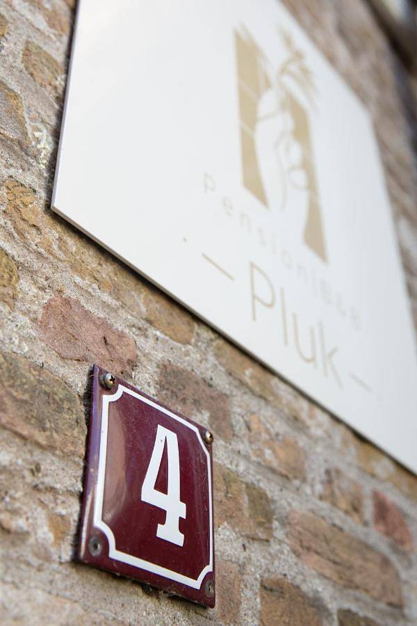 Gîte pour 3 personnes, avec jardin ainsi que vue et terrasse dans Zierikzee - 2