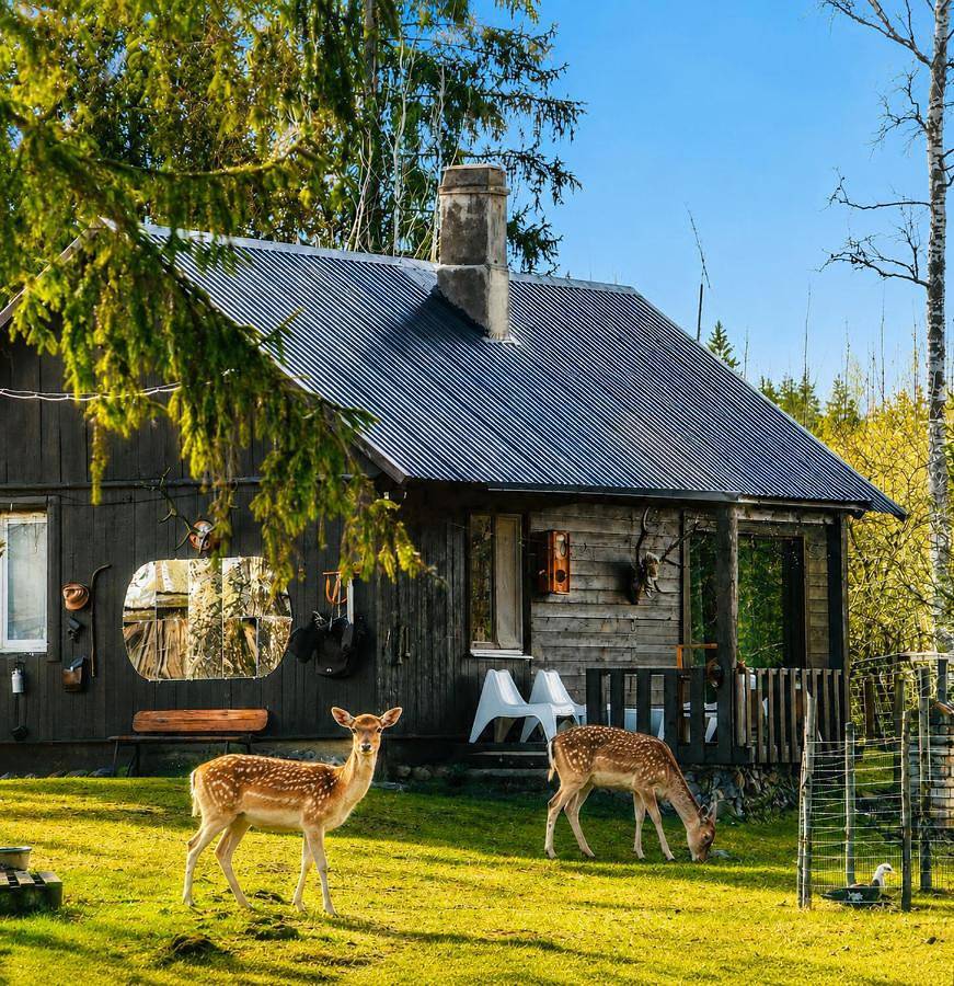 Lake Deer Park Retreat with Hot Tub & Sauna in Talsu novads, Kurland