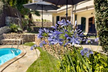 Casa de vacaciones in Pollensa Ciudad, Pollença für 10 