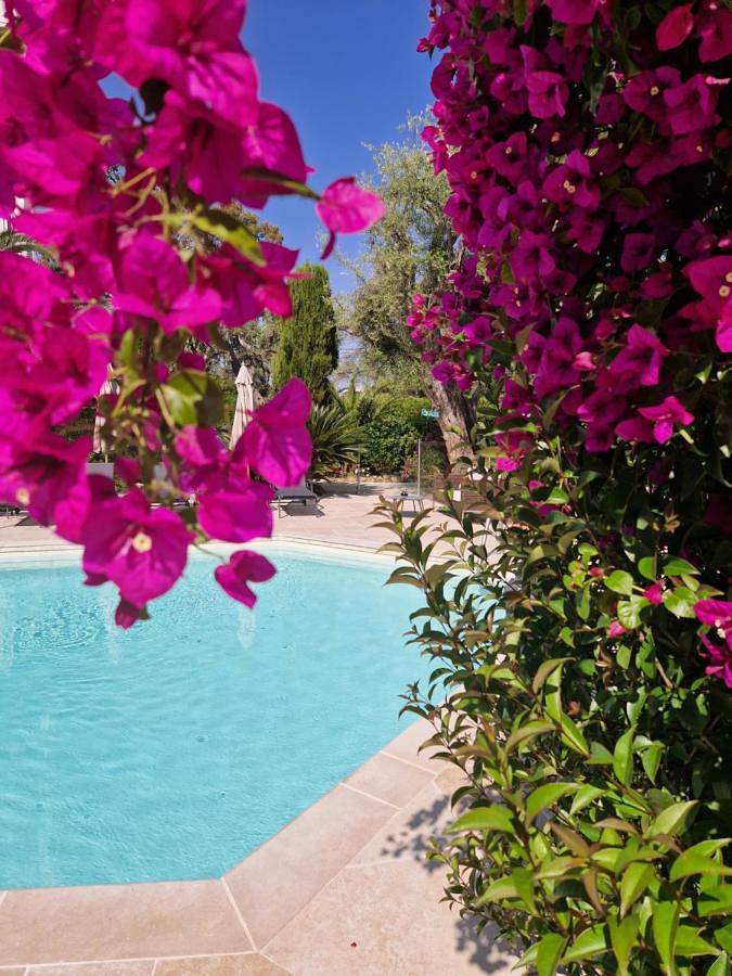 Hôtel pour 2 personnes, avec piscine et jardin dans Port Gallice - 2