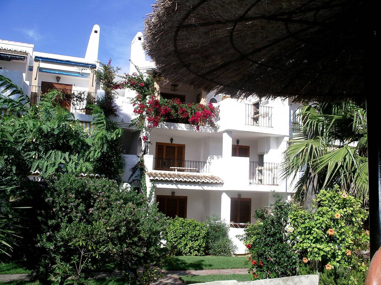 Entire apartment, 2-bedroom beachfront apartment with pool in Denia in Las Marinas, Dénia