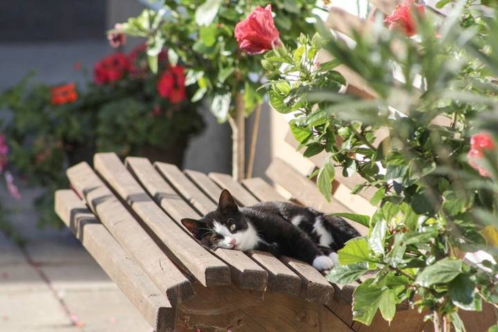 Ferienhaus für 4 Personen, mit Balkon am Chiemsee - 4