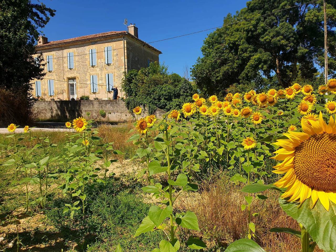 Chambre Lavande aux Quatre Vents met gedeeld terras en tuin in Francescas, Nérac en omgeving