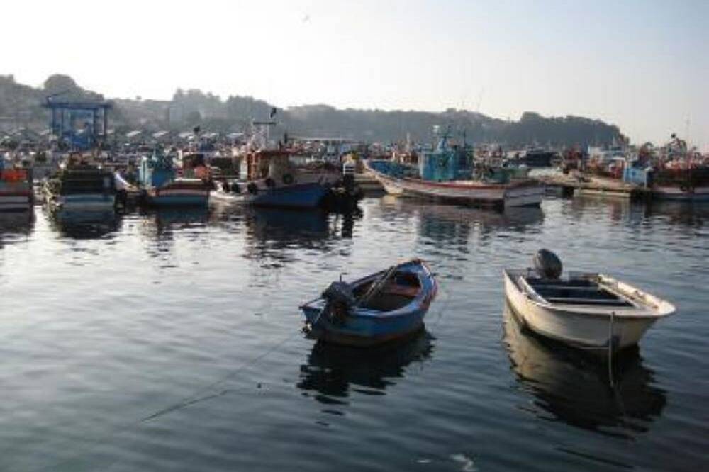 Entire apartment, Ons viewpoint. Apartment for 2-3 people. in Sanxenxo, Rías Baixas