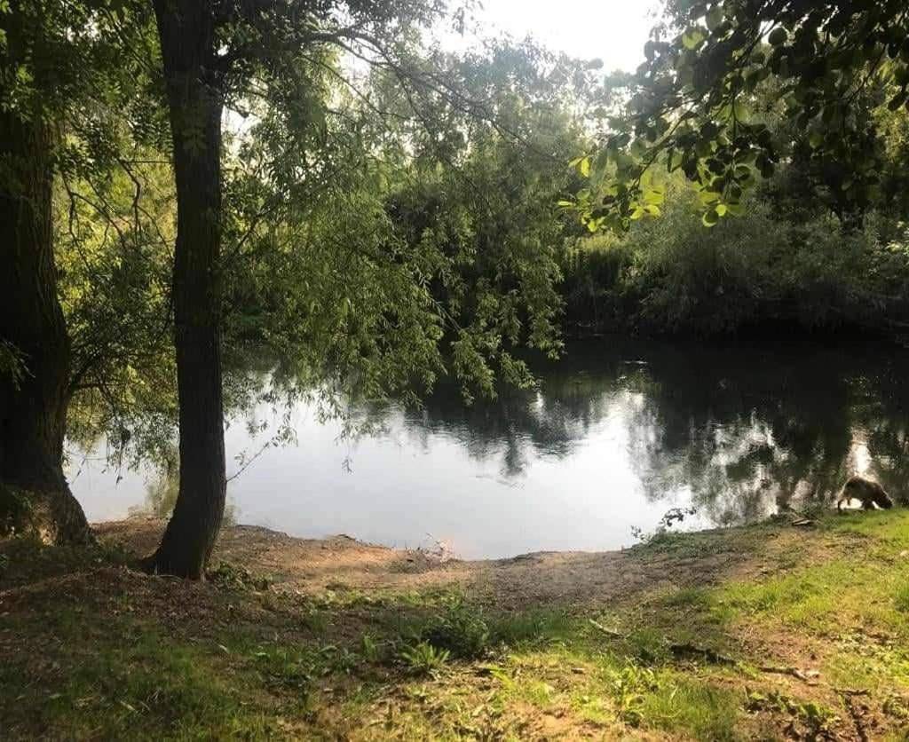 Appartement entier, Studio en campagne Chez Maga in Foëcy, Région de Vierzon