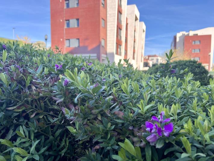 Gîte pour 4 personnes, avec jardin et piscine, adapté aux familles à Santander - 3