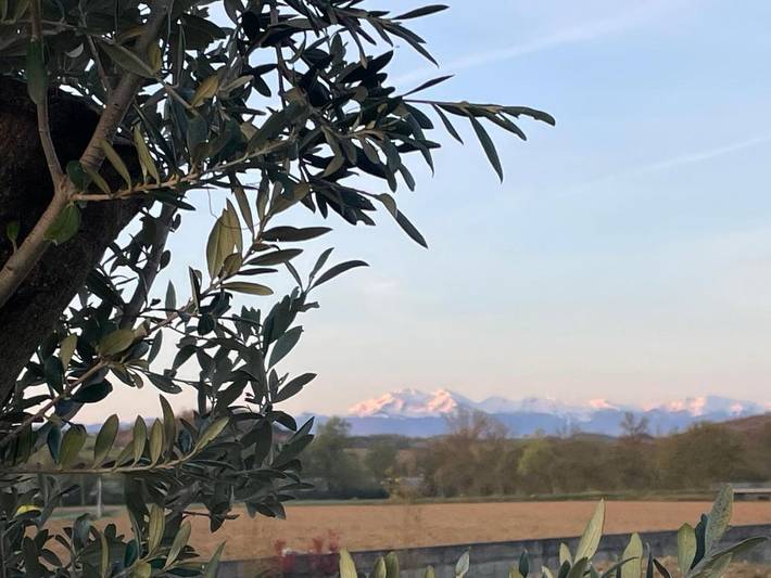 Location de vacances pour 6 personnes, avec terrasse et vue ainsi que piscine et jardin, animaux acceptés à Cazalrenoux - 4