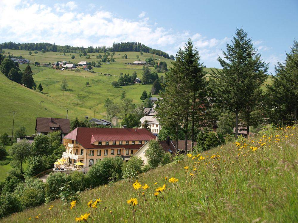 Naturpark-Hotel Grüner Baum - Einzelzimmer mit Dusche/Bad und Wc in Muggenbrunn, Todtnau