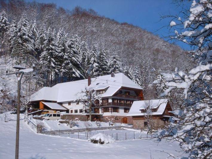 Hütte für 4 Personen, mit Terrasse, kinderfreundlich in Baden-Württemberg - 3