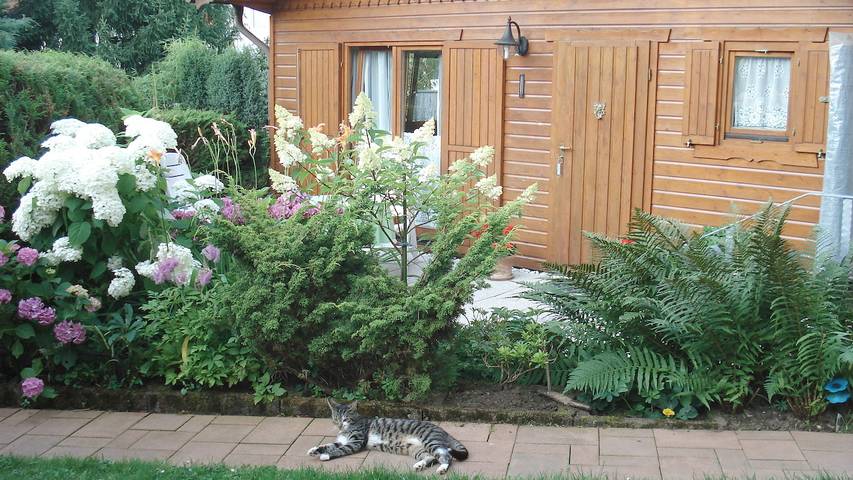 Ferienwohnung für 2 Personen, mit Balkon/Terrasse in Wartburg - 2