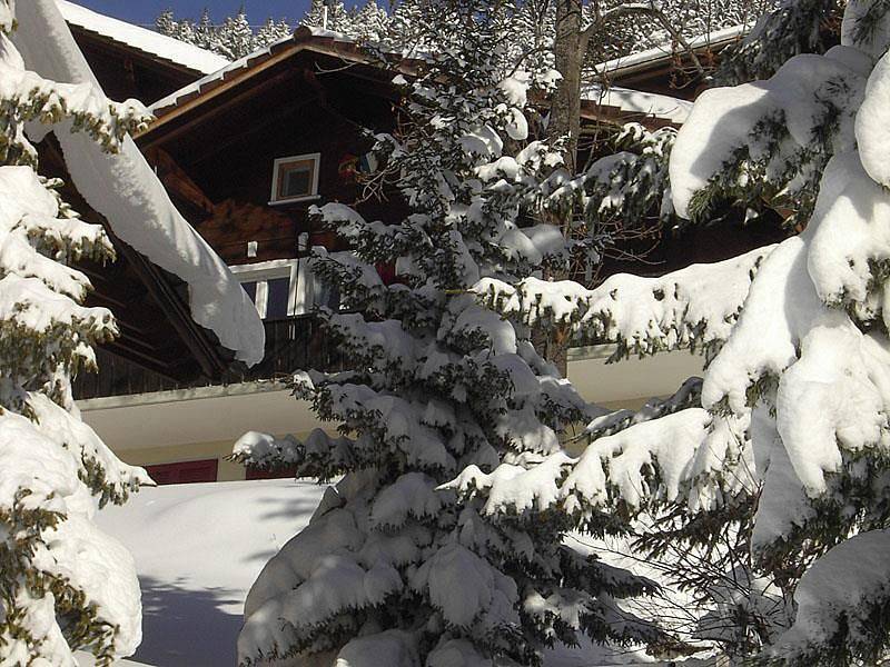 Ganze Ferienwohnung, Chalet Abigrot 4-Bettwohnung in Hasliberg, Berner Oberland