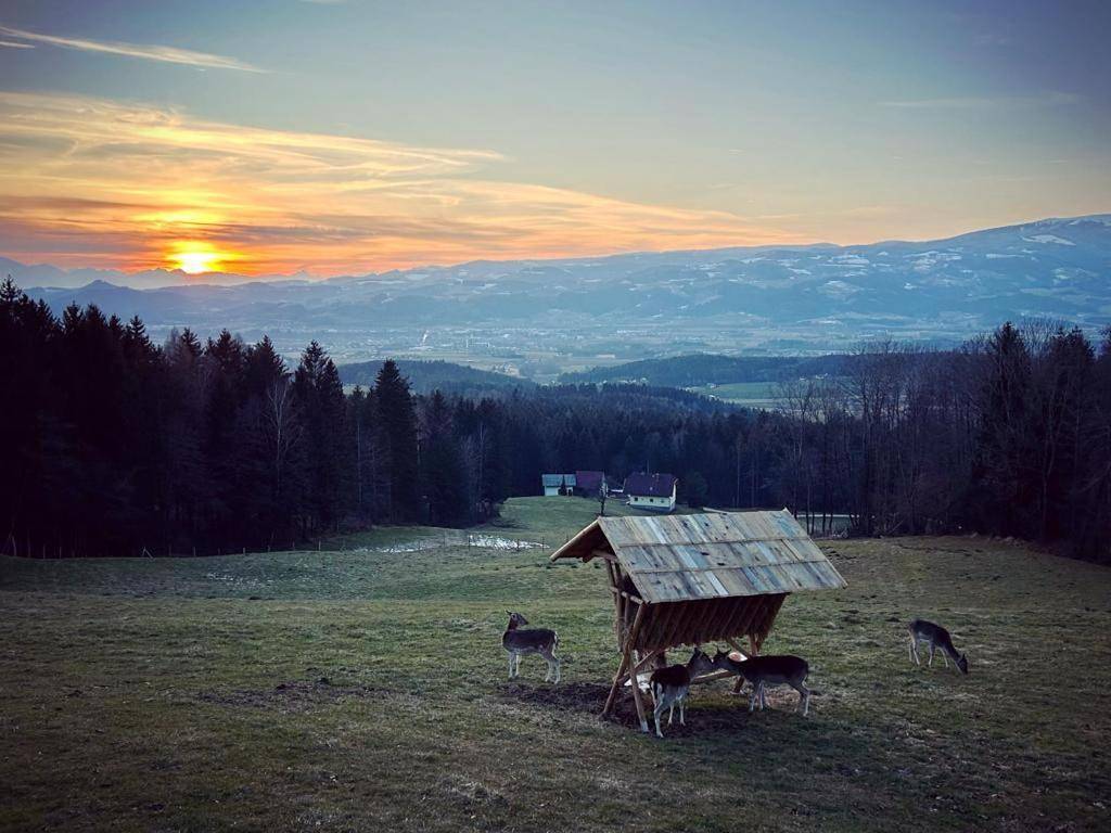 Ganze Wohnung, Ferienhütte Simon Gregor in Sankt Andrä, Lavanttaler Alpen