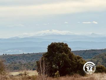 Gîte pour 4 Personnes dans Villanière, Région de Carcassonne, Photo 1